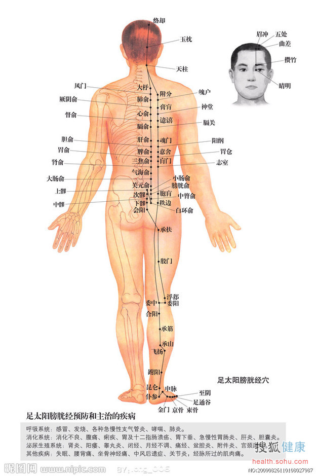 人体经络运行时间 人体经络运行时间
